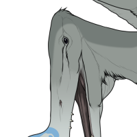 Thumbnail for 7556: Seaweed