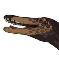 Thumbnail for 7563: Corvette