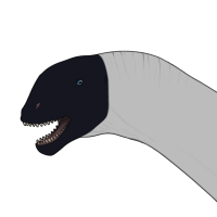 Thumbnail for 7569: Bishop