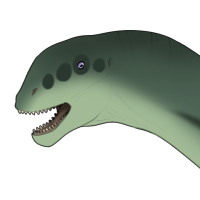 Thumbnail for 7570: Sage