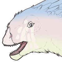 Thumbnail for 7571: Claude ♂