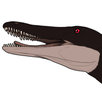 Thumbnail for 7575: Redwood