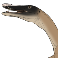 Thumbnail for 7578: Estor (He/Him)