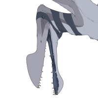 Thumbnail for 7581: Squall