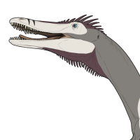 Thumbnail for 7584: Tigre