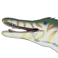 Thumbnail for 7585: Tigris