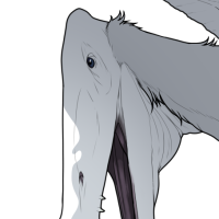 Thumbnail for 7590: Seasalt