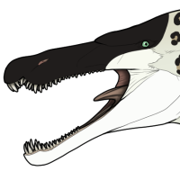 Thumbnail for 7598: Pardus