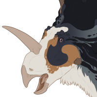 Thumbnail for 7613: [On Hold]