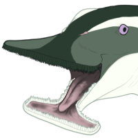 Thumbnail for 7627: Kelpie