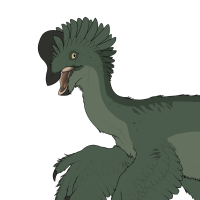 Thumbnail for 7629: Nori