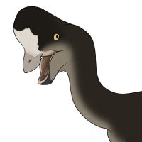 Thumbnail for 7635: Cs / Si / So