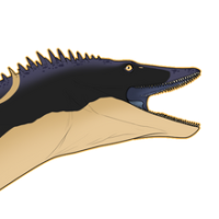 Thumbnail for 7639: ♀Chameleon