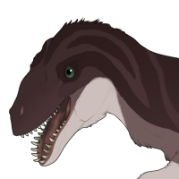 Thumbnail for 7640: Redwood