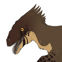 Thumbnail for 7672: Siamese and Tears baby