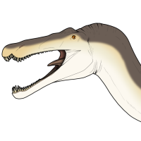 Thumbnail for 7673: Unknown