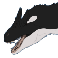 Thumbnail image for 7423: Palindrome