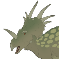 7675: Lichen