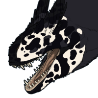 Thumbnail for 7677: Jeepers