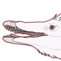 Thumbnail for 7730: Neuq - Albino
