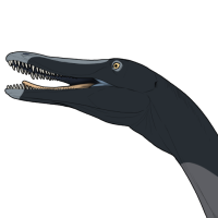 Thumbnail for 7783: Neuquenraptor