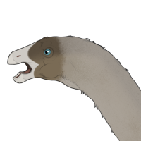 Thumbnail for 7791: Sandpiper