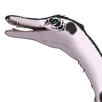 Thumbnail for 7794: SPOTS Neuq
