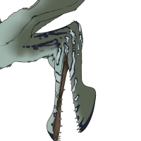 Thumbnail for 5949: Mayde