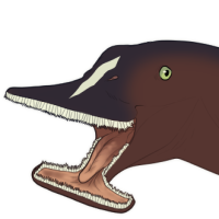 Thumbnail for 7862: PxL - Bald F