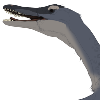 Thumbnail for 7867: Selkie