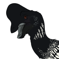 Thumbnail for 7890: Loon