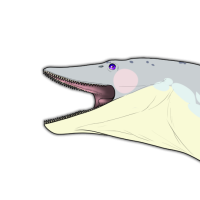 Thumbnail for 7891: Tikali