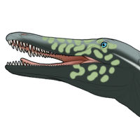 Thumbnail for 7898: Neuquenraptor