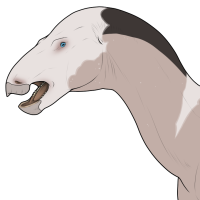 Thumbnail for 7912: Augustus (He/Him)