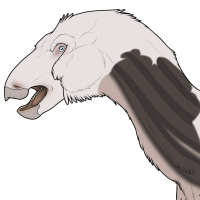 Thumbnail for 7913: Julius (He/Him)