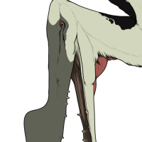 Thumbnail for 7915: Tropeognathus