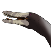 Thumbnail for 7924: Spider