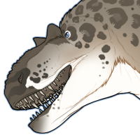 Thumbnail for 7930: Fir