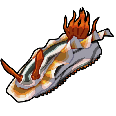 Nudibranch