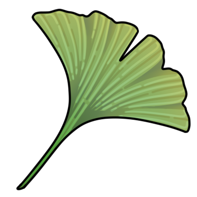 Ginkgo Leaf