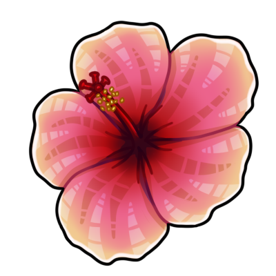 Hibiscus