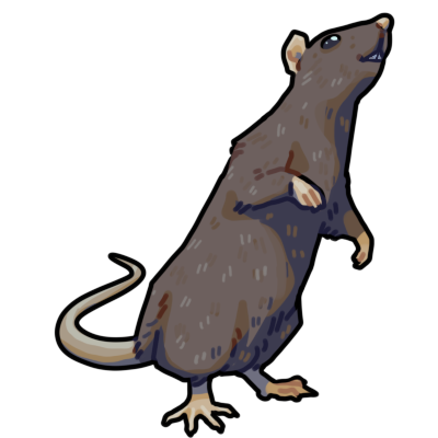 Rat Companion