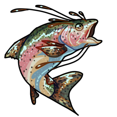 Rainbow Trout