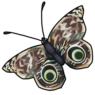 Mimic Butterfly