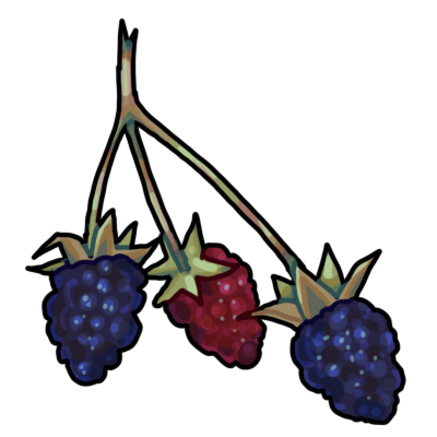 Wildberries