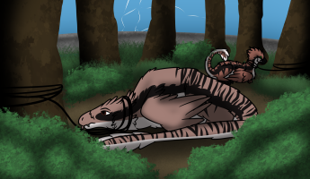 Submission thumbnail