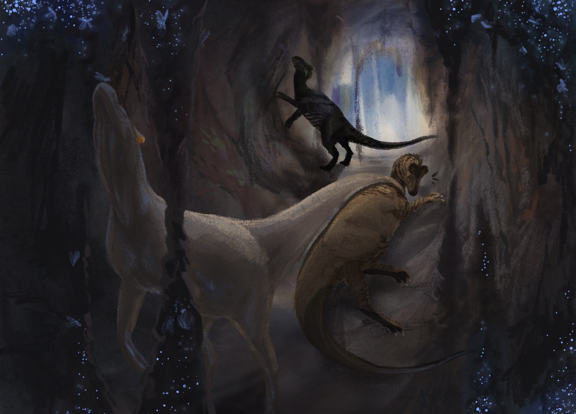 Click to view larger size Hidden World