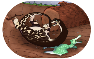 Submission thumbnail