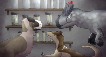 Submission thumbnail