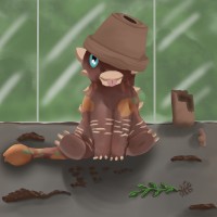 Submission thumbnail